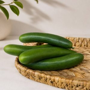 خیار مصنوعی|میوه مصنوعی دکوری تزئینی کد262