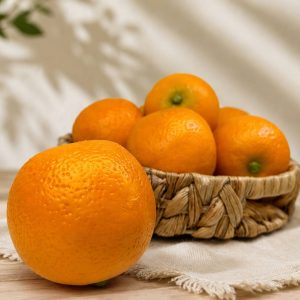 پرتقال مصنوعی |میوه مصنوعی دکوری و تزئینی کد 2359